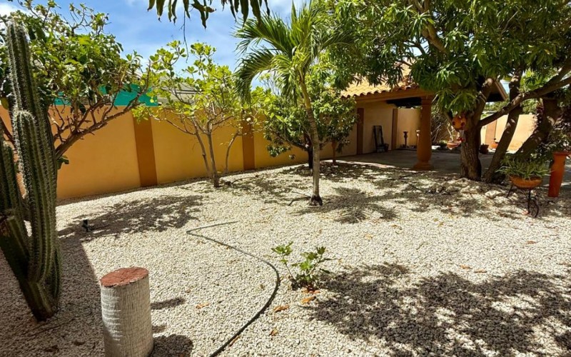 Casa Mango - Caya Seour Dorothea #2